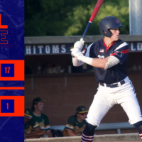 HiToms Run Rule Flamingos