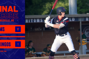 HiToms Run Rule Flamingos