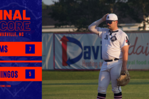 HiToms Top Pilots