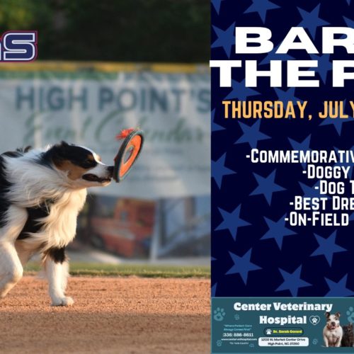 BARK IN THE PARK NIGHT RETURNS TO FINCH FIELD